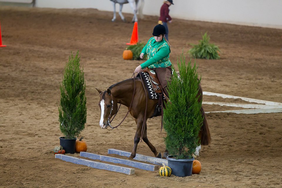 4H-State-2016-0616.jpg