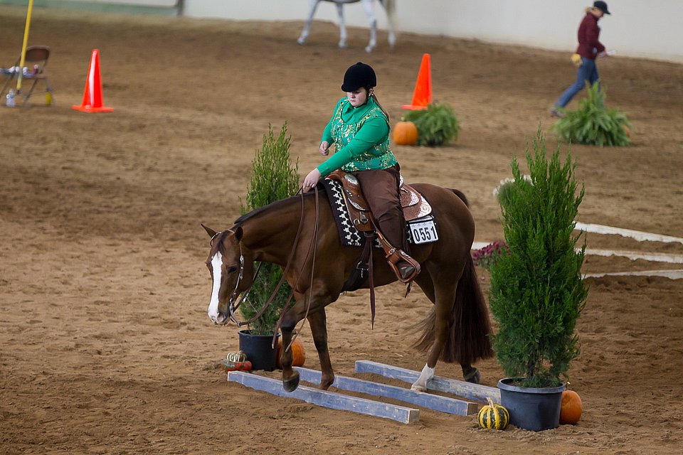 4H-State-2016-0617.jpg