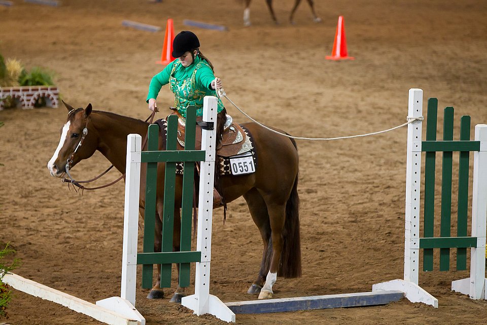 4H-State-2016-0618.jpg