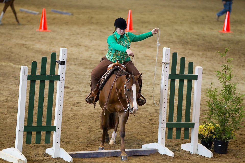 4H-State-2016-0619.jpg