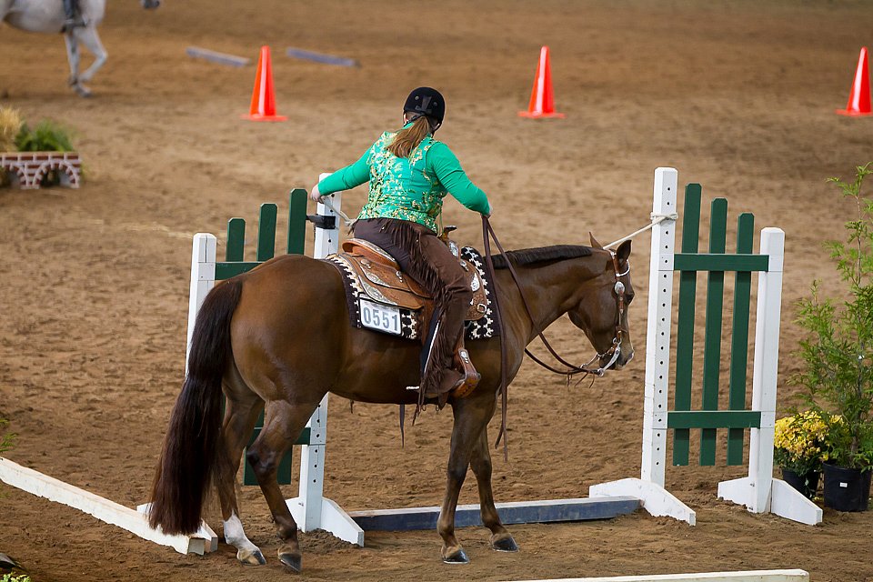 4H-State-2016-0620.jpg