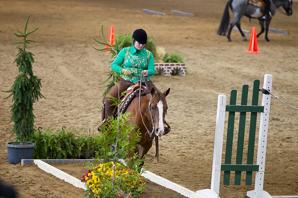 4H-State-2016-0621.jpg