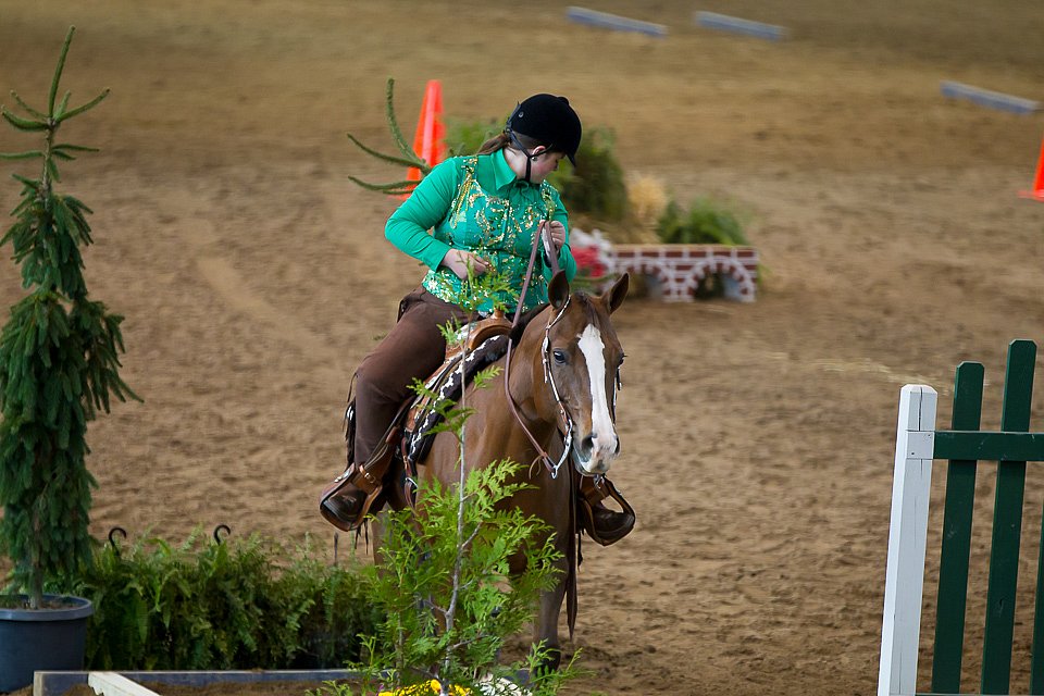 4H-State-2016-0622.jpg