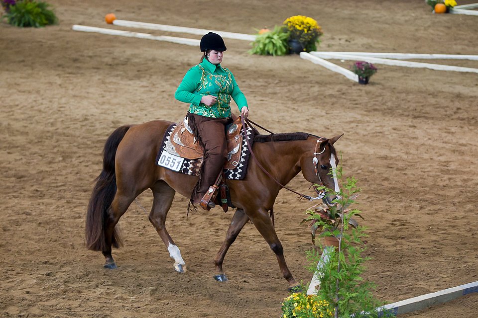 4H-State-2016-0625.jpg