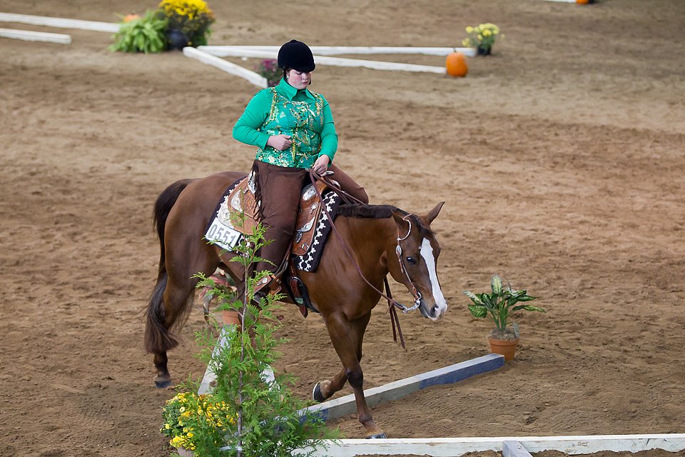 4H-State-2016-0626.jpg