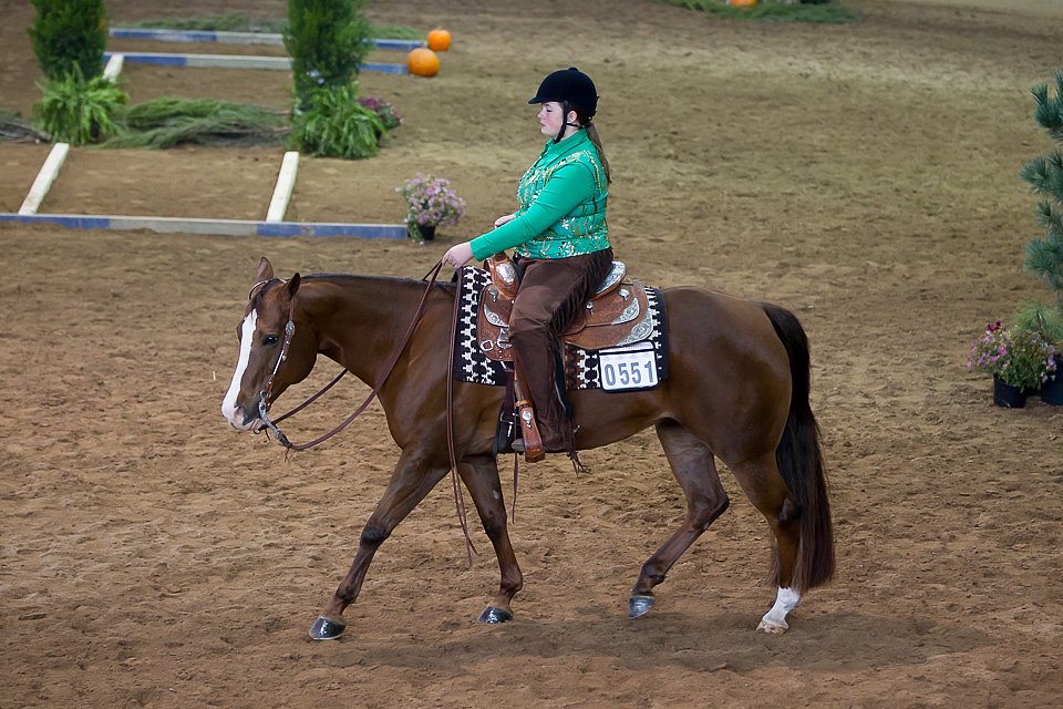 4H-State-2016-0627.jpg