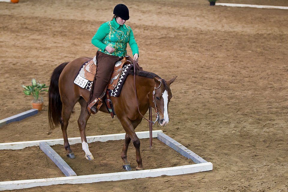 4H-State-2016-0629.jpg