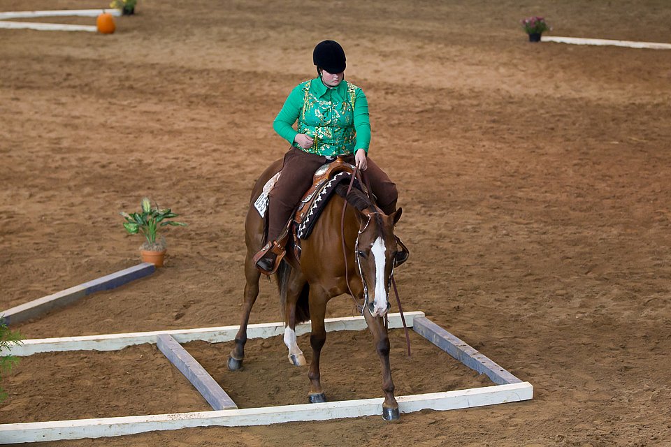 4H-State-2016-0630.jpg