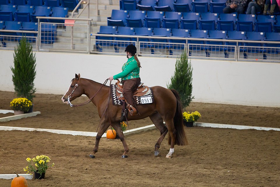 4H-State-2016-0634.jpg