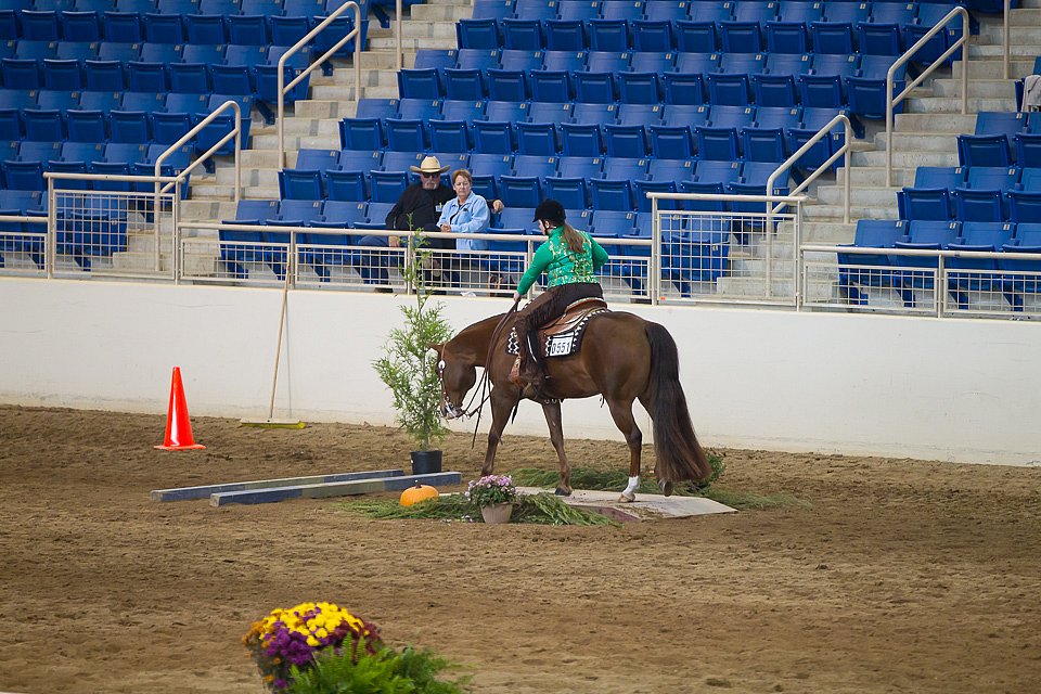4H-State-2016-0636.jpg