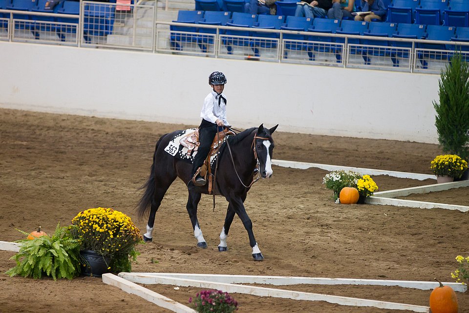 4H-State-2016-0638.jpg
