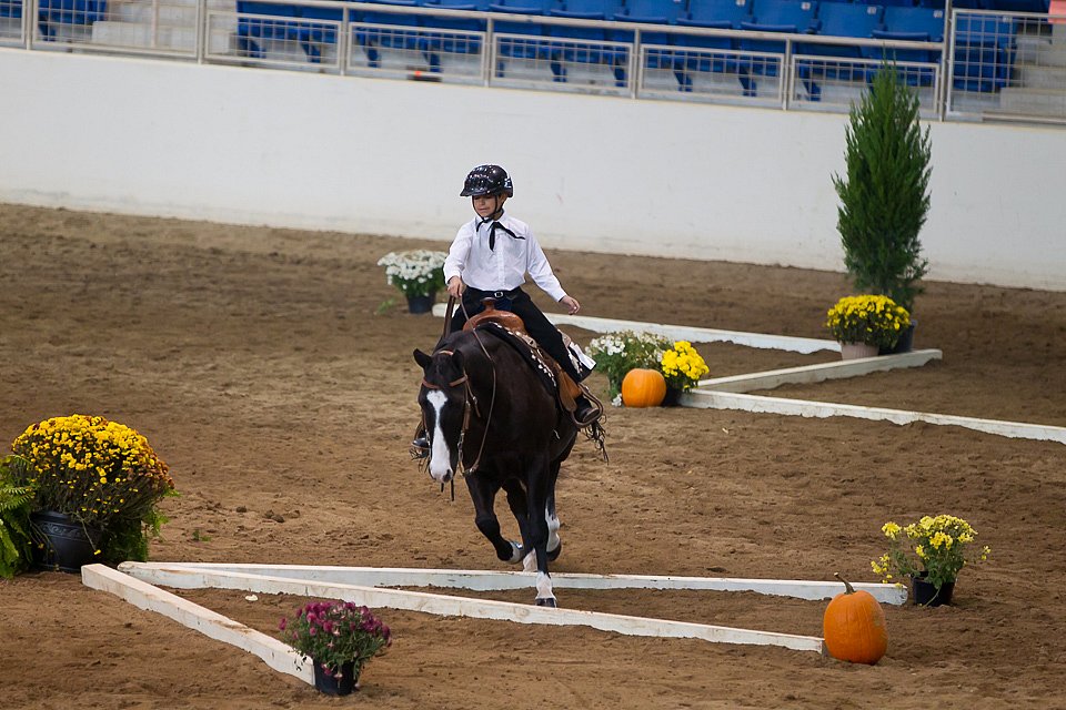 4H-State-2016-0639.jpg