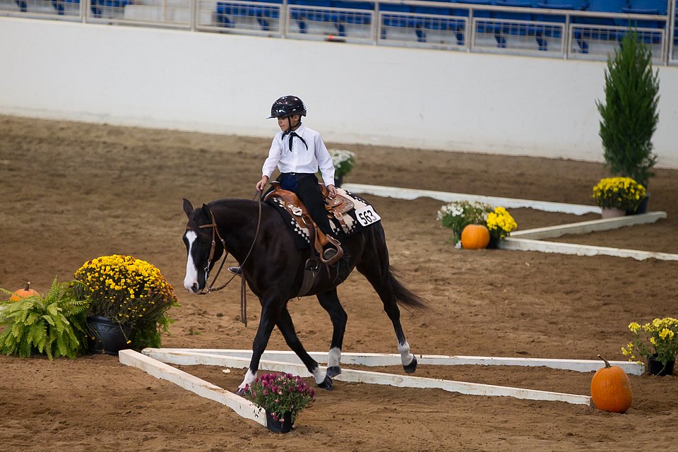 4H-State-2016-0640.jpg