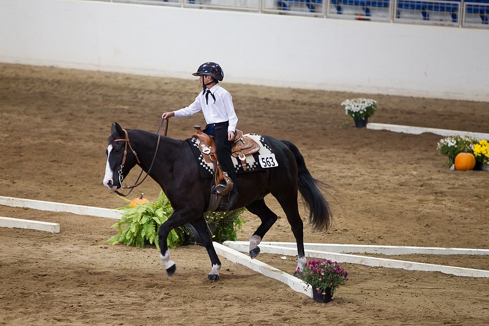 4H-State-2016-0641.jpg