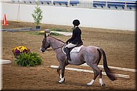 4H-State-2016-0514.jpg