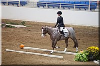 4H-State-2016-0515.jpg