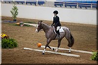 4H-State-2016-0516.jpg