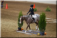 4H-State-2016-0517.jpg