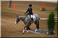 4H-State-2016-0518.jpg