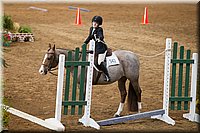 4H-State-2016-0519.jpg