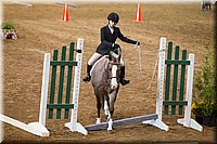 4H-State-2016-0520.jpg