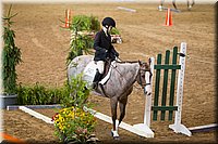 4H-State-2016-0522.jpg