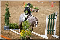 4H-State-2016-0523.jpg