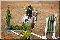 4H-State-2016-0524.jpg