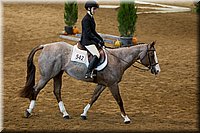 4H-State-2016-0526.jpg