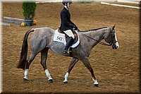 4H-State-2016-0527.jpg