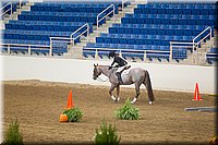 4H-State-2016-0545.jpg