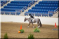 4H-State-2016-0546.jpg