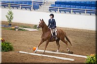 4H-State-2016-0550.jpg