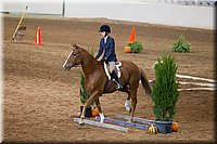 4H-State-2016-0552.jpg