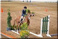 4H-State-2016-0555.jpg