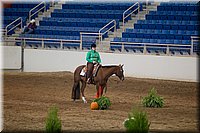 4H-State-2016-0608.jpg