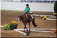 4H-State-2016-0611.jpg