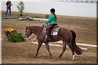 4H-State-2016-0612.jpg