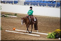 4H-State-2016-0614.jpg