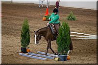 4H-State-2016-0616.jpg