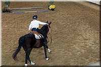 4H-State-2016-0657.jpg