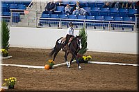 4H-State-2016-0660.jpg