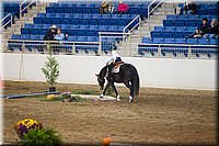 4H-State-2016-0662.jpg