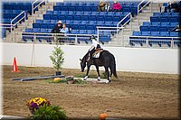 4H-State-2016-0663.jpg