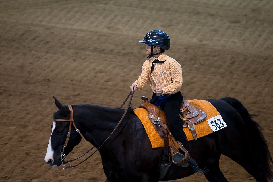 4H-State-2016-0685.jpg