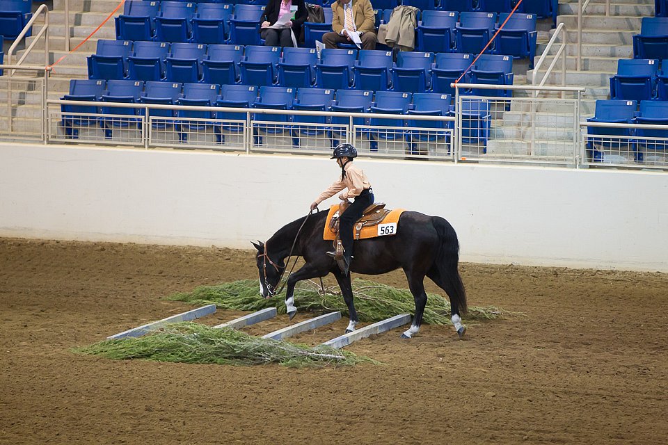 4H-State-2016-0696.jpg