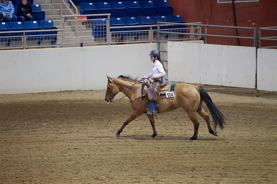 4H-State-2016-0701.jpg