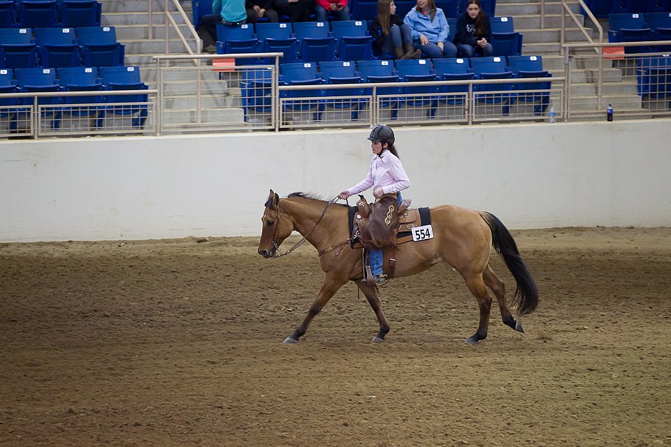 4H-State-2016-0702.jpg