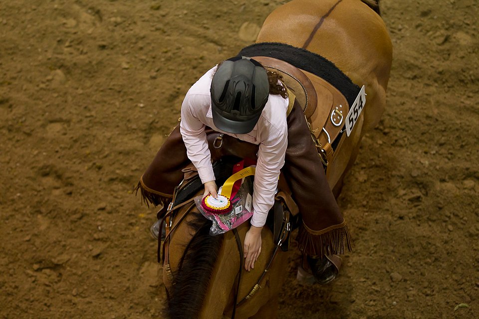 4H-State-2016-0732.jpg