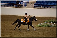 4H-State-2016-0688.jpg